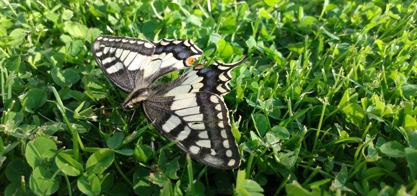 Missie en Visie  IF Technology  Creating Energy  IF Technology